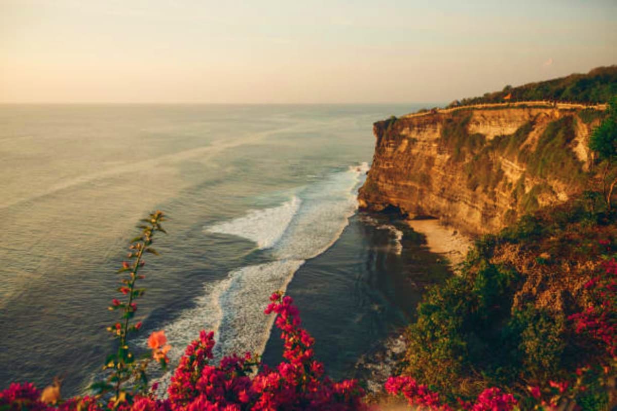 Dramatic ocean cliff with golden limestone rock formations, sandy beach cove, rolling waves, and vibrant pink flowers in fore