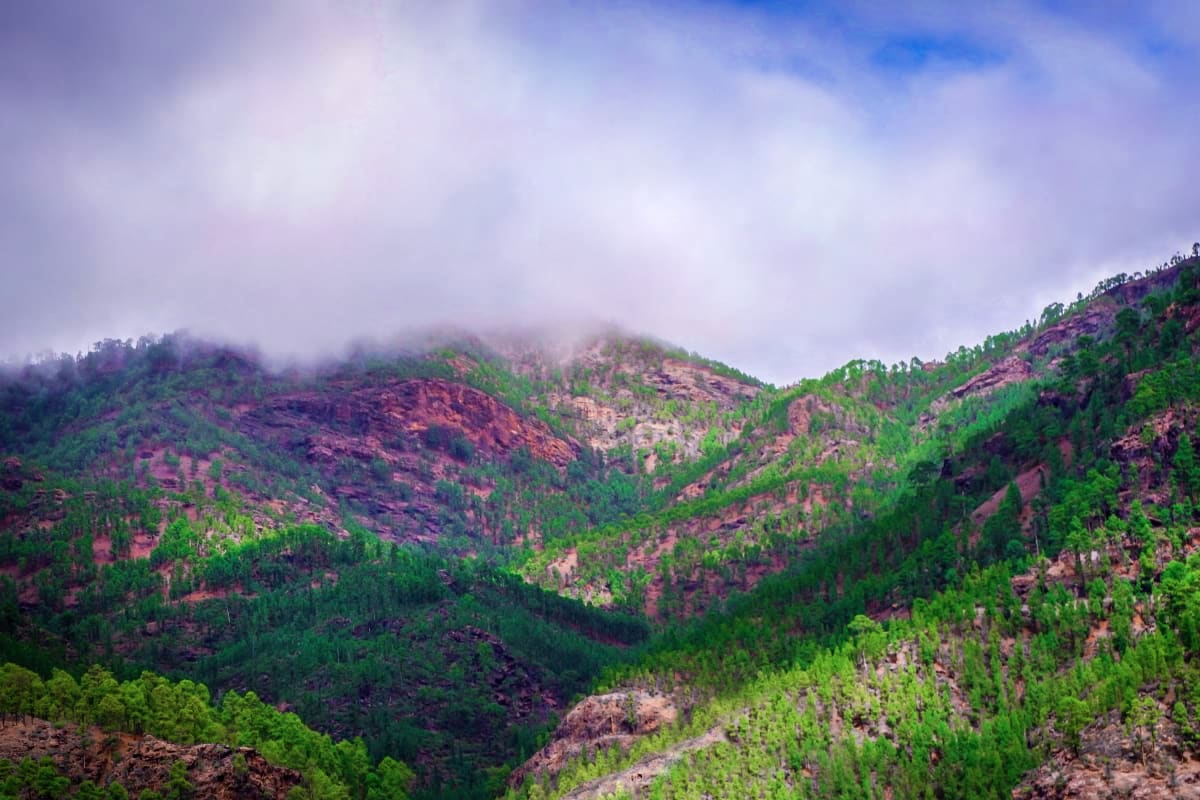 Misty mountain valley with dense green forest covering red rocky slopes and peaks