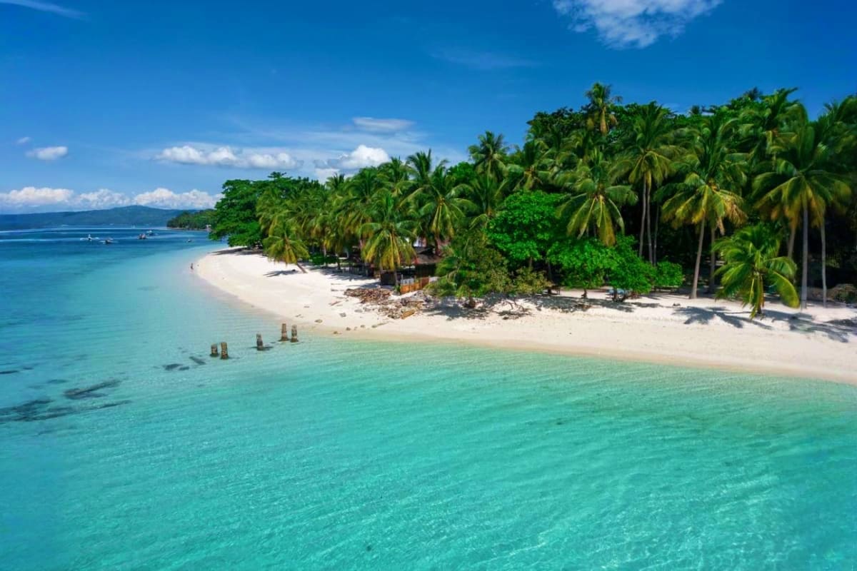Davao Siargao Wildlife Rafting Package Tropical beach with white sand, turquoise water, palm trees, and wooden posts in shallow water near a lush green island coast