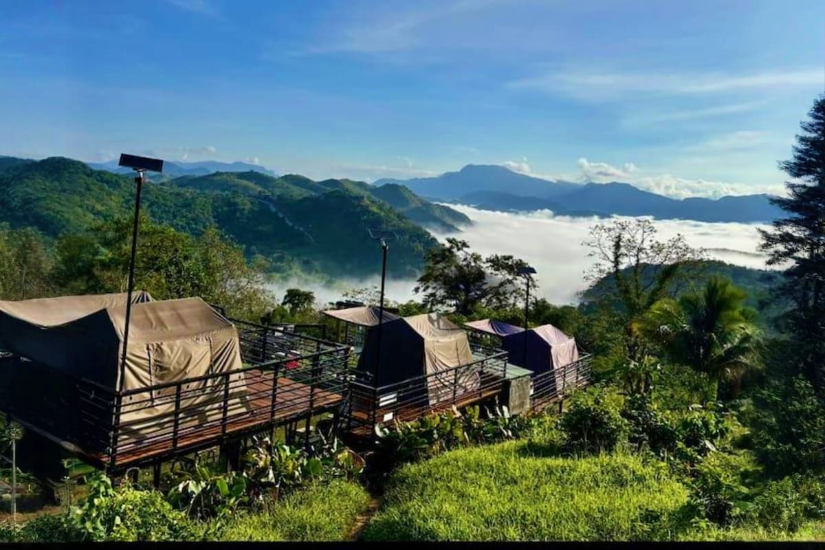 Manila Glamping Glamping tents on wooden platforms overlooking misty mountains and valleys with lush green forest landscape