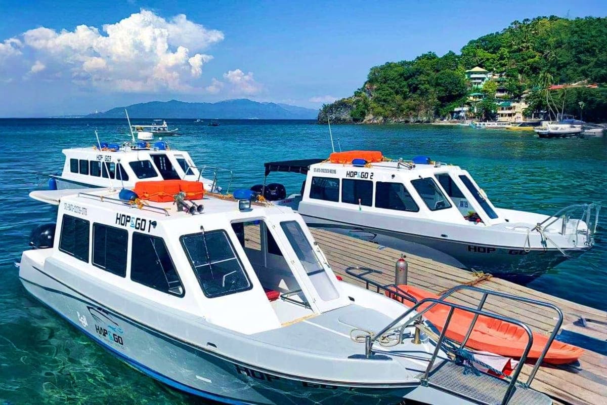 Puerto Galera Diving Tour White and blue passenger boats docked at wooden pier in turquoise water with forested island and mountains in background, Pue