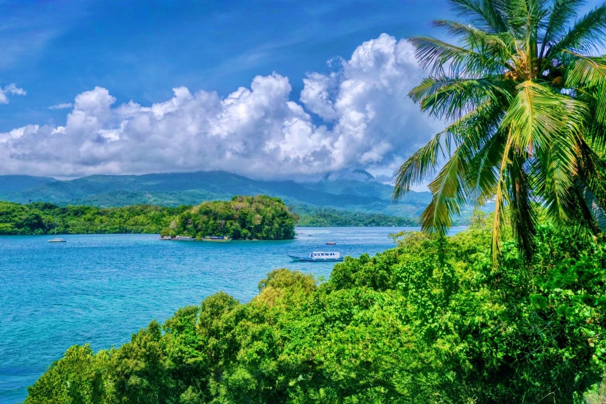 Puerto Galera Diving Tour Tropical bay in Puerto Galera with turquoise water, lush green coastline, palm trees, and a fishing boat anchored near forest