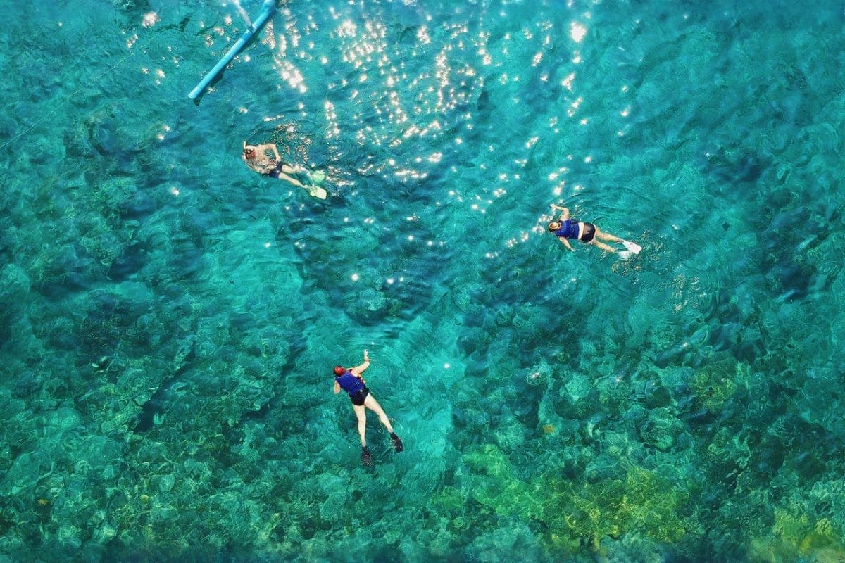 El Nido Escape Tour Aerial view of three snorkelers exploring clear turquoise water with coral reef visible below and fishing net in upper left