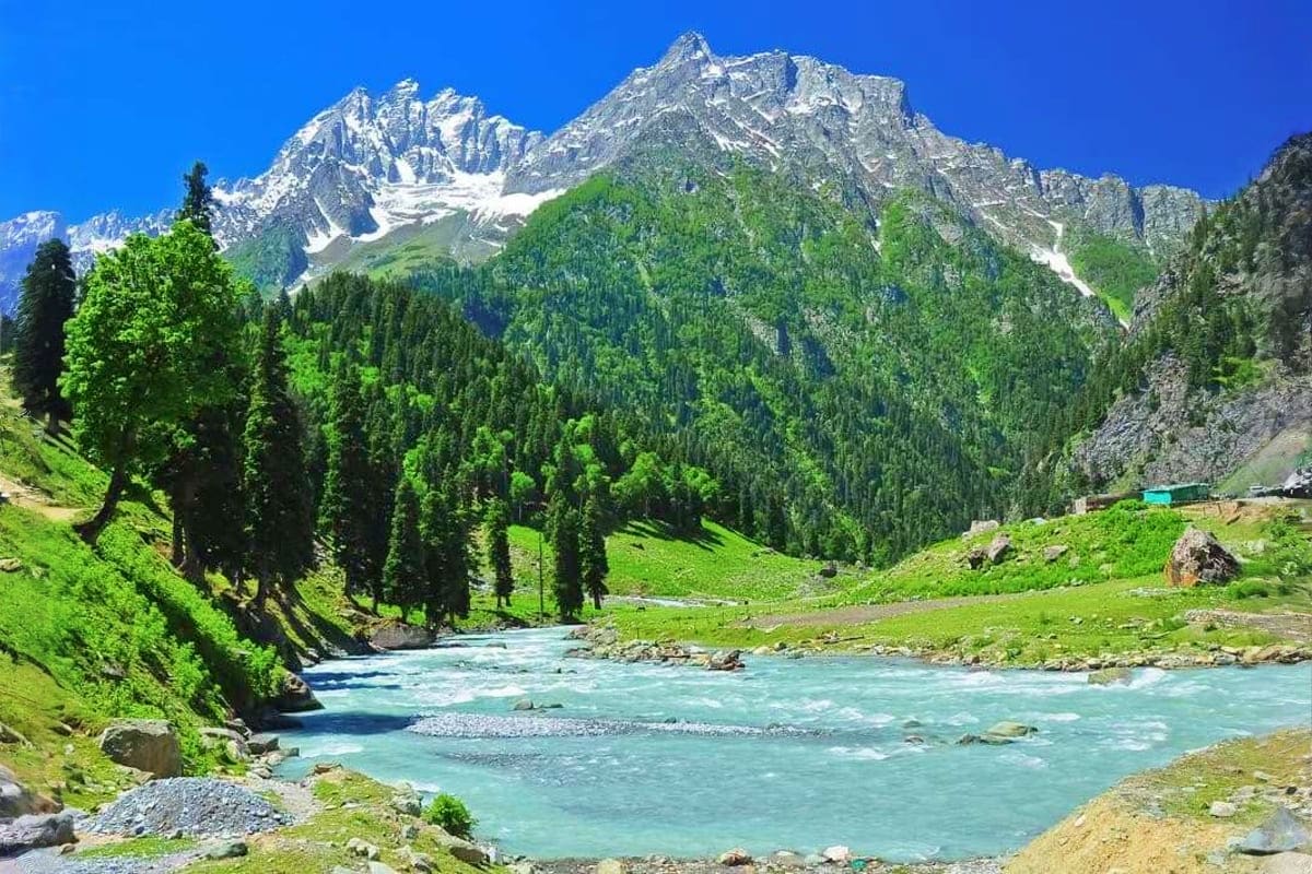 Turquoise river flowing through green valley with snow-capped mountain peaks and pine forest in Kashmir landscape