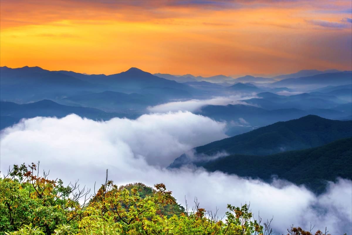 Sunrise over mountain valleys with layers of misty fog and forested peaks in the Darjeeling Himalayan region
