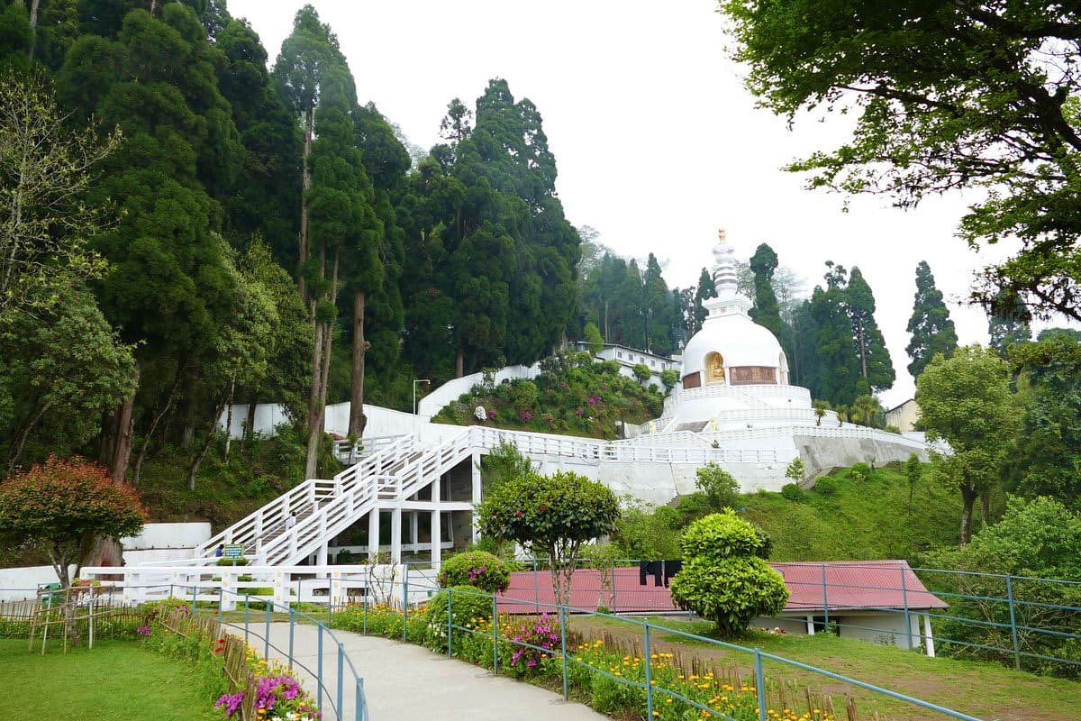 White Buddhist stupa surrounded by tall cypress trees and lush gardens in the Himalayan mountains of Darjeeling region