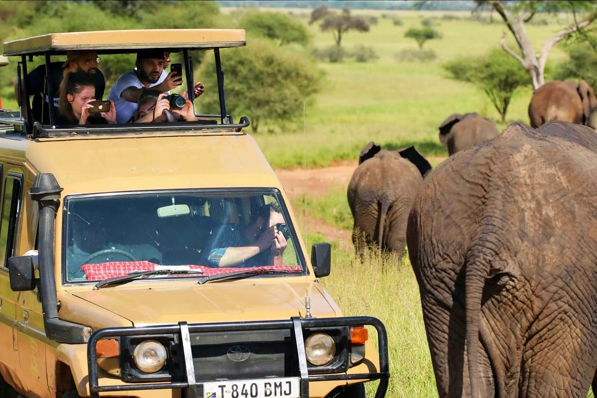Safari tourists photographing elephants from open-roof safari vehicle in Kenya savanna landscape