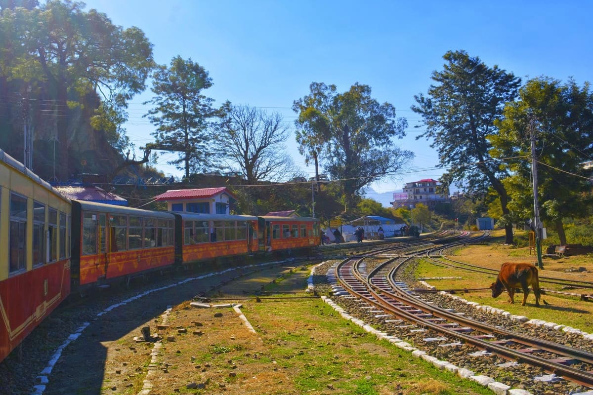 Narrow gauge railway train on tracks at Shimla railway station with red coaches, surrounded by tall trees and green landscape
