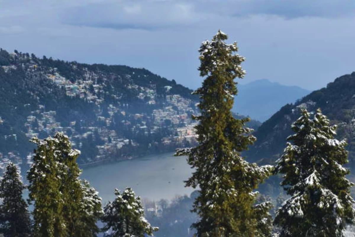 Snow-covered coniferous trees frame a panoramic view of Nainital Lake surrounded by forested hills with houses scattered on h