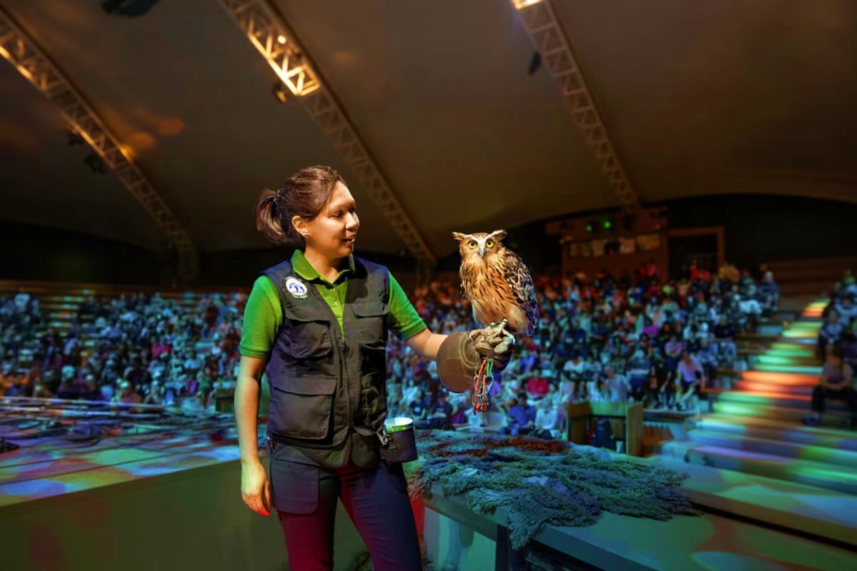 Falconer with eagle at indoor arena presentation during Singapore wildlife educational demonstration