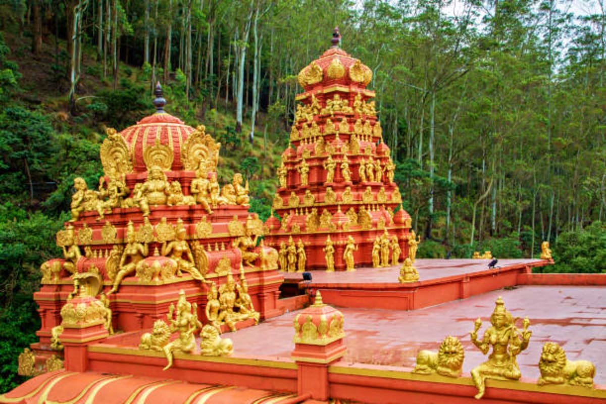 Hindu temple with red and gold ornate towers and golden deity statues surrounded by tall eucalyptus trees in Sri Lanka