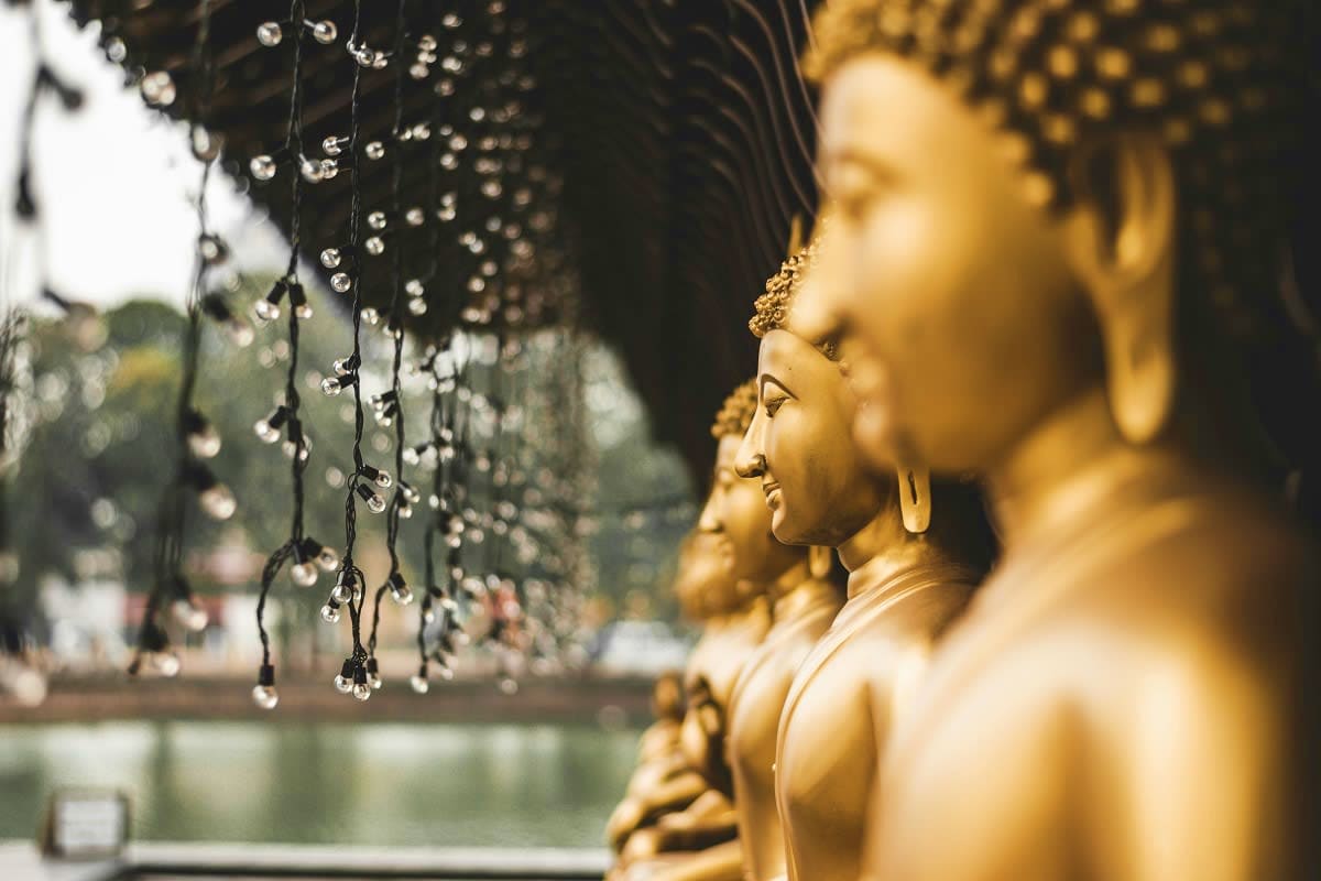 Golden Buddha statues in profile with water droplets dripping from black roof, serene temple setting in Sri Lanka