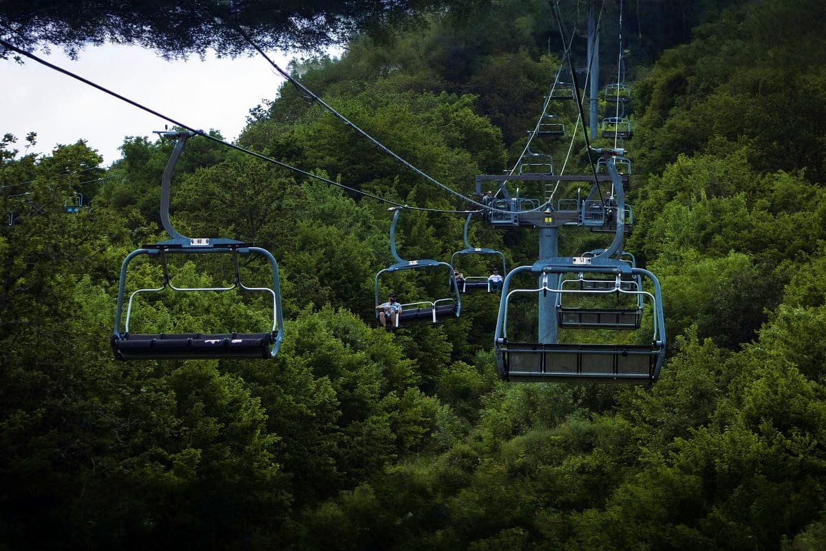 Ski lift chairs suspended above dense green forest canopy at a mountain resort