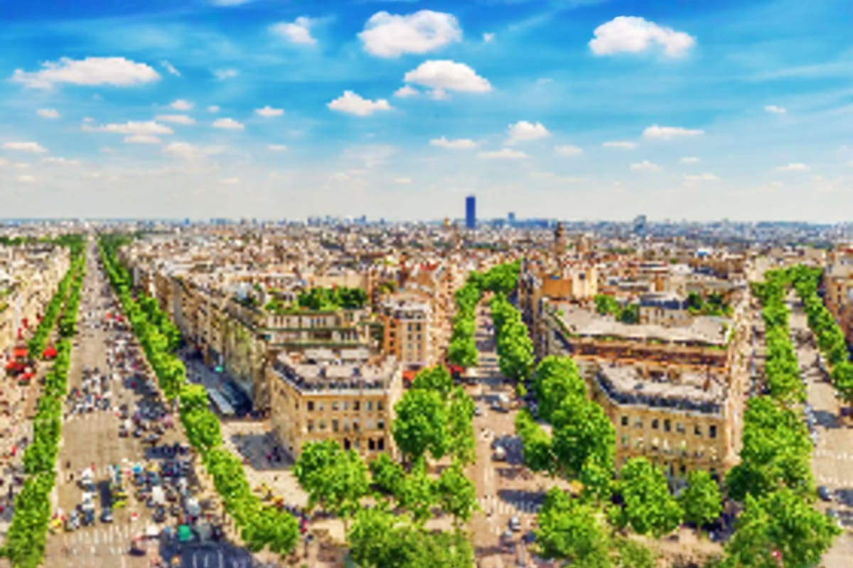 Aerial view of Paris street lined with green trees, classical Haussmann buildings, and blue sky with white clouds