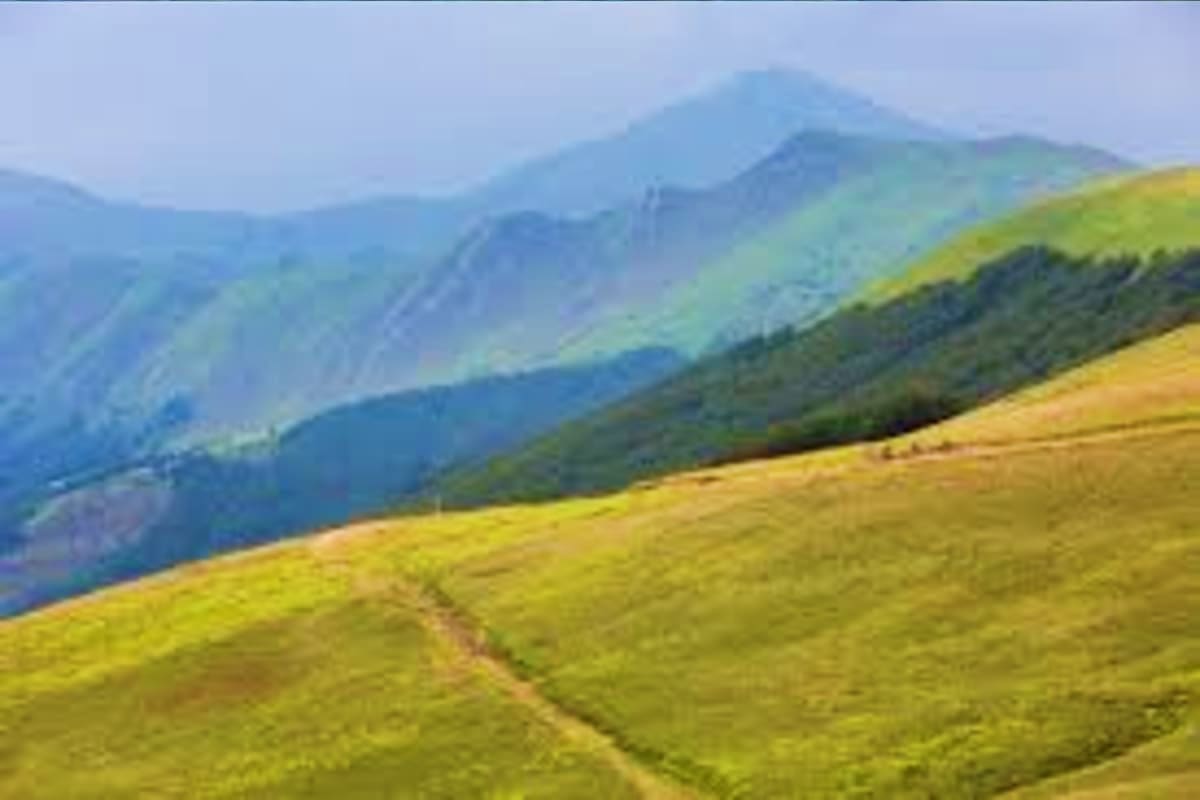 Classical Italy and Switzerland IND Rolling green hillsides with mountain peaks and forested slopes in Alpine landscape, Italy or Switzerland region