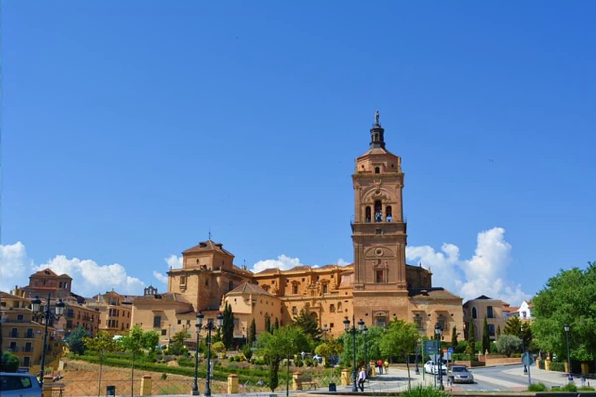 Historic cathedral with tall bell tower in Spanish town square surrounded by golden stone buildings and green vegetation unde