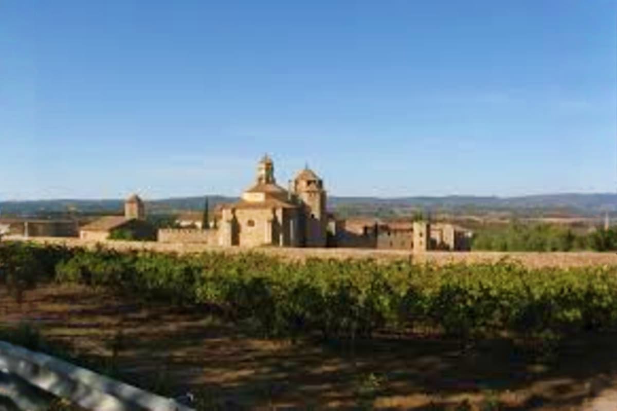 Historic monastery with golden domes surrounded by vineyard fields in Tuscany countryside under clear blue sky