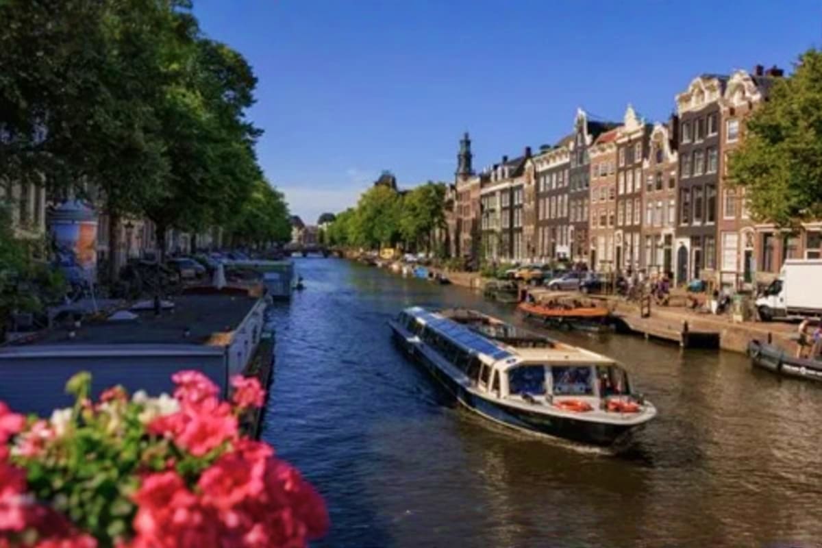 Amsterdam canal with tour boat, historic buildings, and pink flowers along waterway