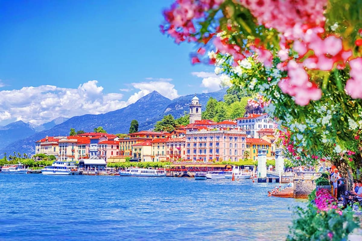 Lakeside town with colorful buildings, church tower, and mountain backdrop framed by pink flowering vines, Lake Como Italy