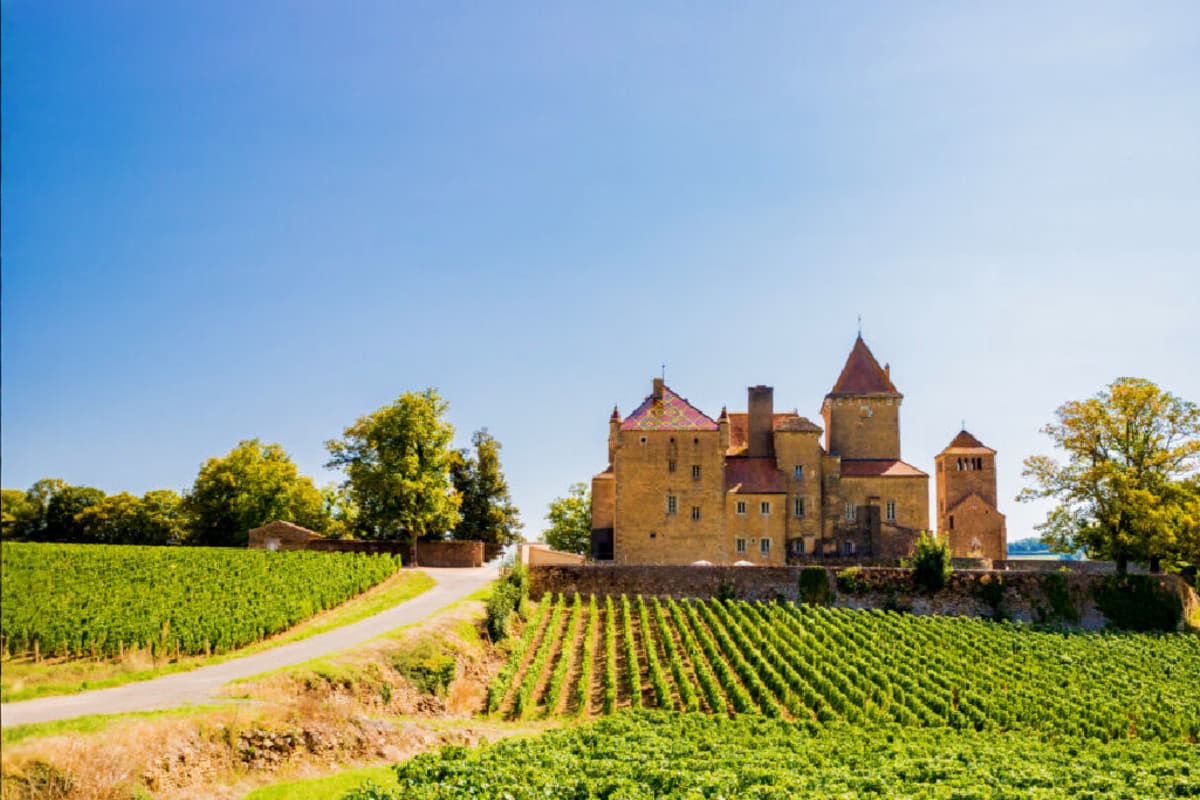 Medieval castle surrounded by vineyard rows in the French countryside under clear blue sky