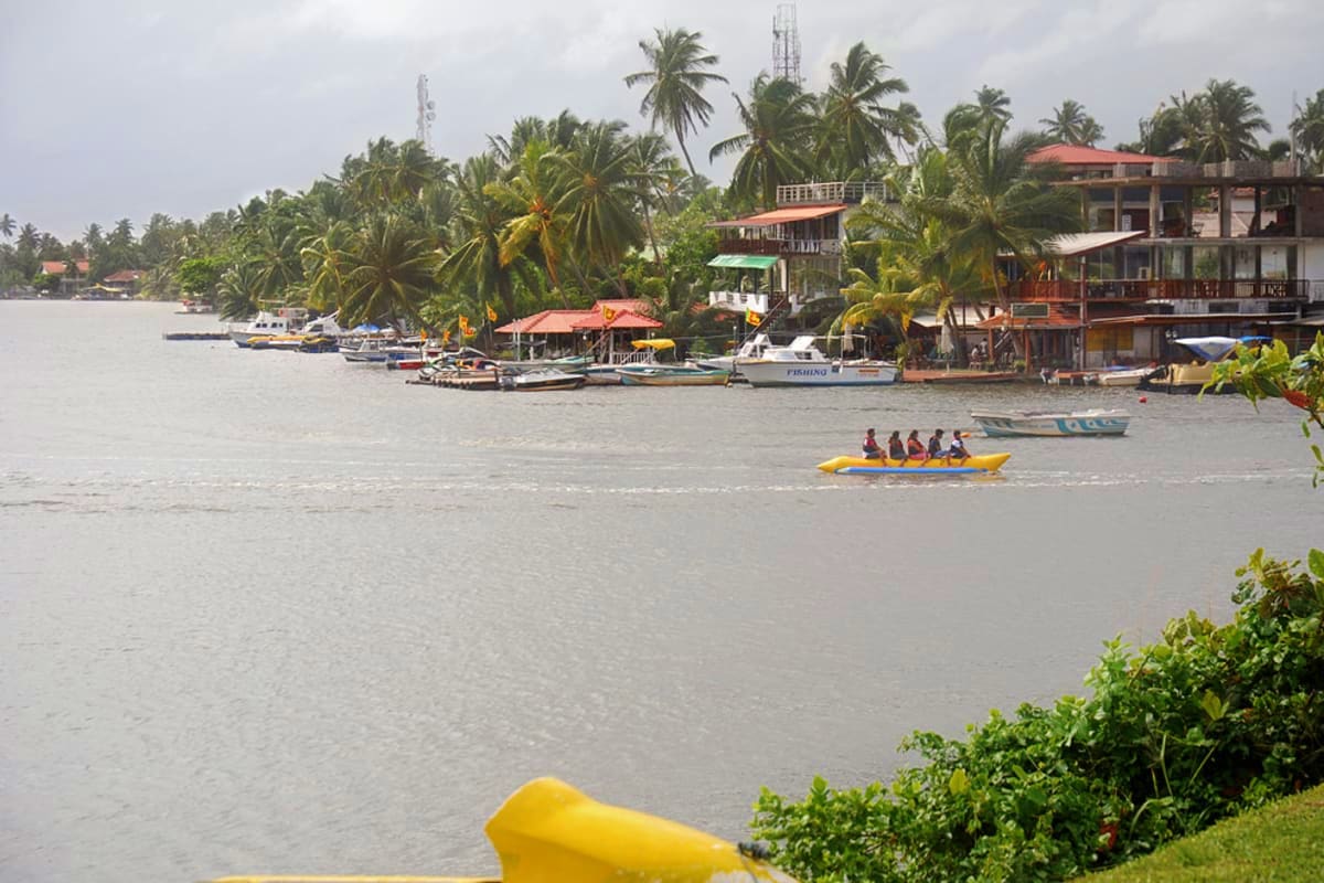 Tropical coastal village with palm trees, fishing boats, and yellow water taxi carrying passengers on calm waterway in Sri La