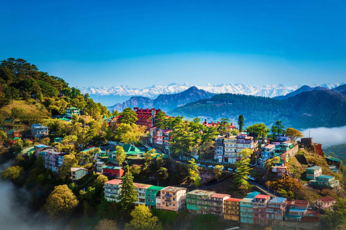 Aerial view of Shimla hill station with colorful buildings nestled among green trees, snow-capped Himalayan mountains in back