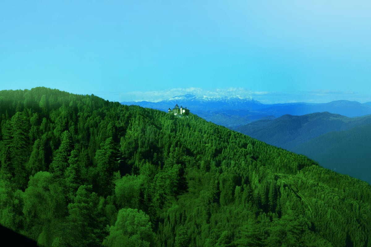 Neuschwanstein Castle perched on a hilltop surrounded by dense green coniferous forest with snow-capped Alps visible in the d