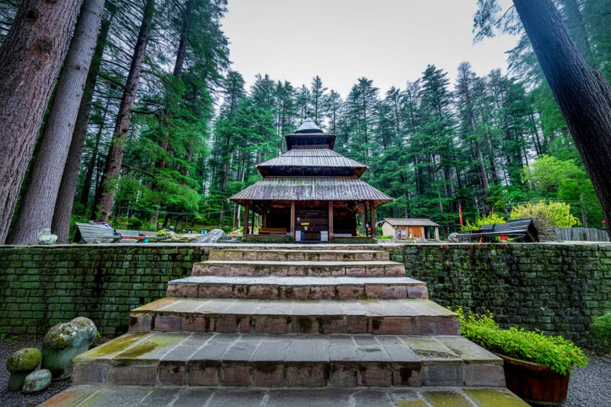 Traditional Japanese temple with tiered pagoda roof surrounded by tall cedar trees and stone steps in a forest setting