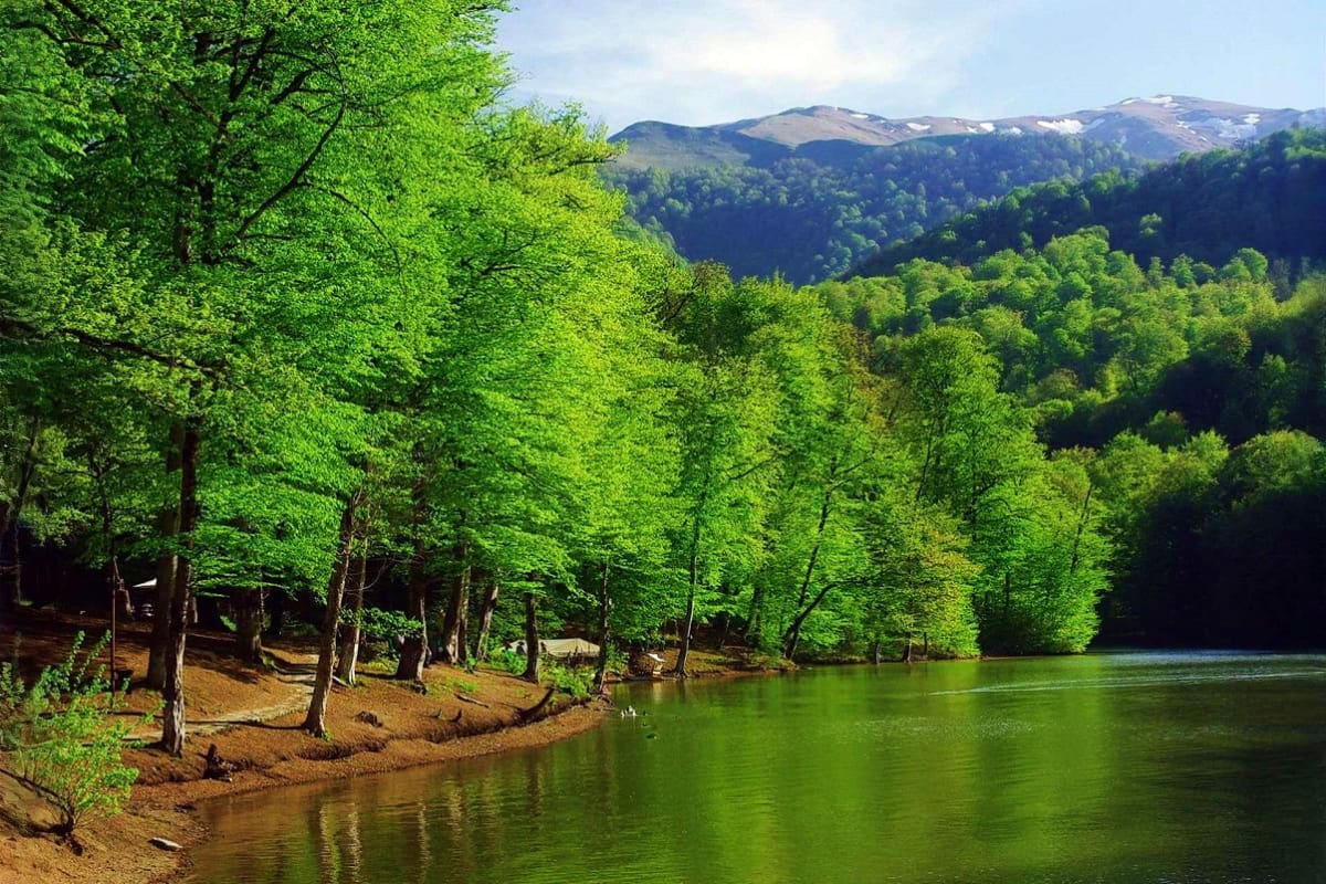 Scenic mountain lake surrounded by lush green forests and snow-capped peaks in the distance, Armenia landscape