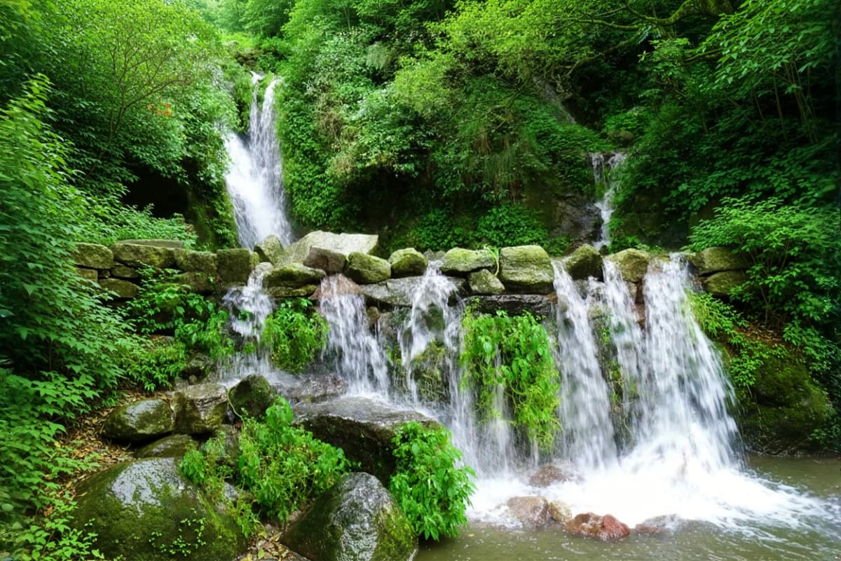 Cascading waterfall flowing over moss-covered rocks in lush green forest with dense foliage in Himachal Pradesh