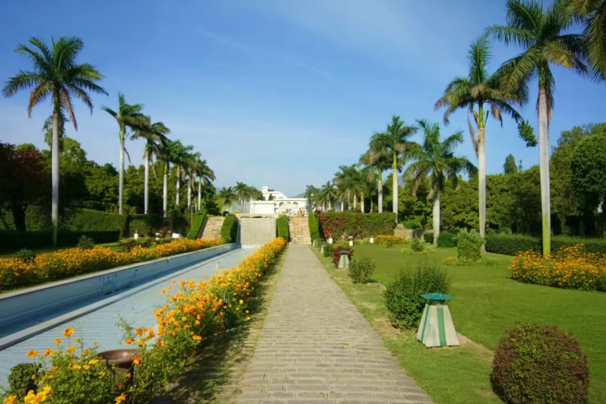 Formal garden pathway with tall palm trees, yellow flowers, manicured hedges, water channel, and white building in distance u