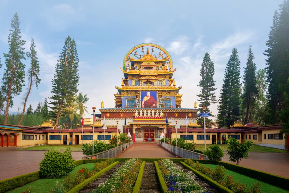 Golden Buddhist temple with tiered roofs surrounded by tall pine trees and formal garden courtyard