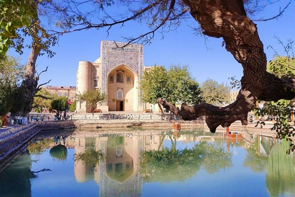 Historic Islamic mosque with ornate arched entrance reflected in tranquil pond, framed by ancient tree branches in Uzbekistan