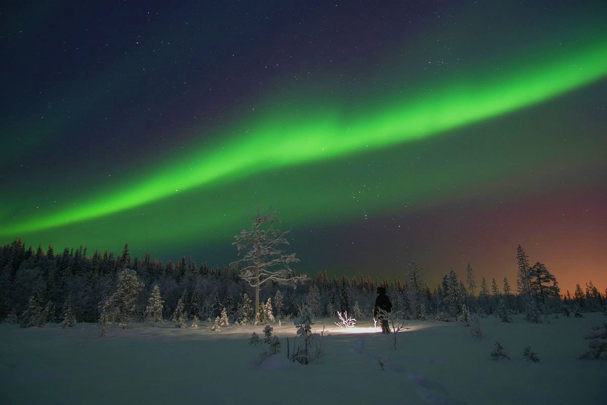 Northern Lights aurora borealis streaking across night sky above snow-covered forest and frozen landscape in Russia