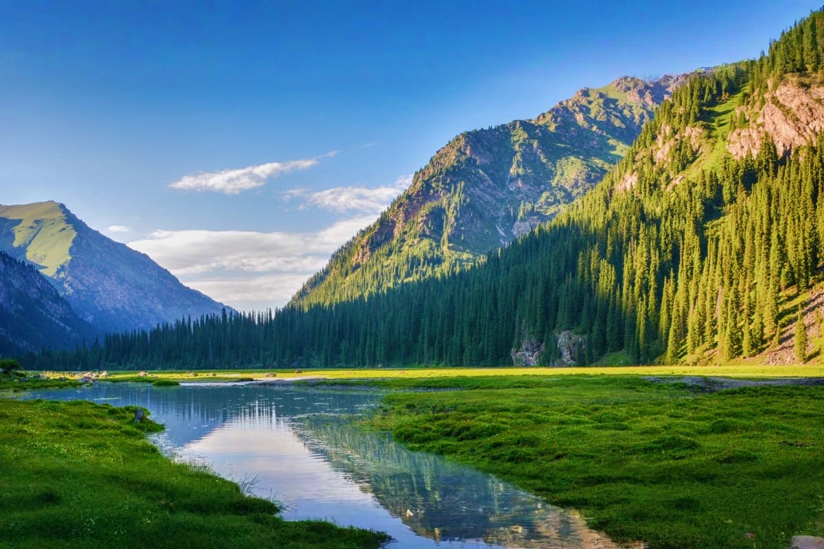 Classic Kyrgyzstan Alpine valley landscape in Kyrgyzstan with coniferous forest, mountains, meadow and mountain stream reflecting clear sky