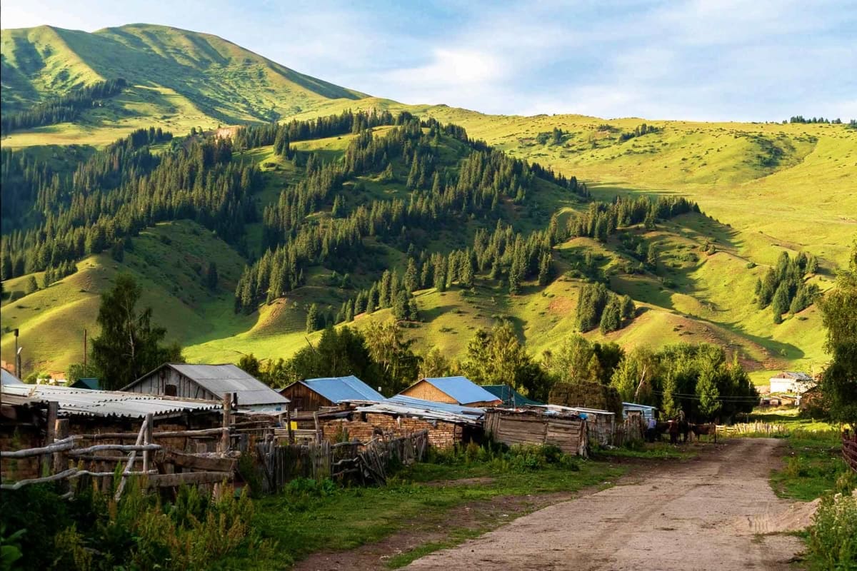Classic Kyrgyzstan Rural mountain settlement in Kyrgyzstan with traditional wooden structures and coniferous forests on rolling green hills