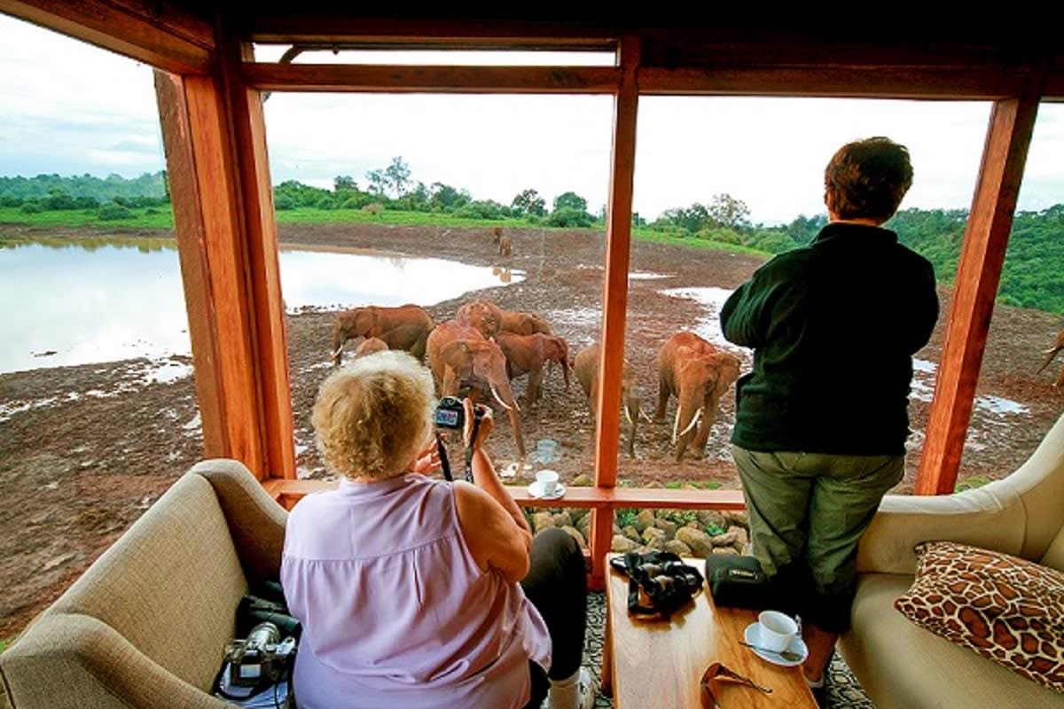 Tourists photographing a herd of elephants at a watering hole in Kenya from an observation lodge with wooden framing.