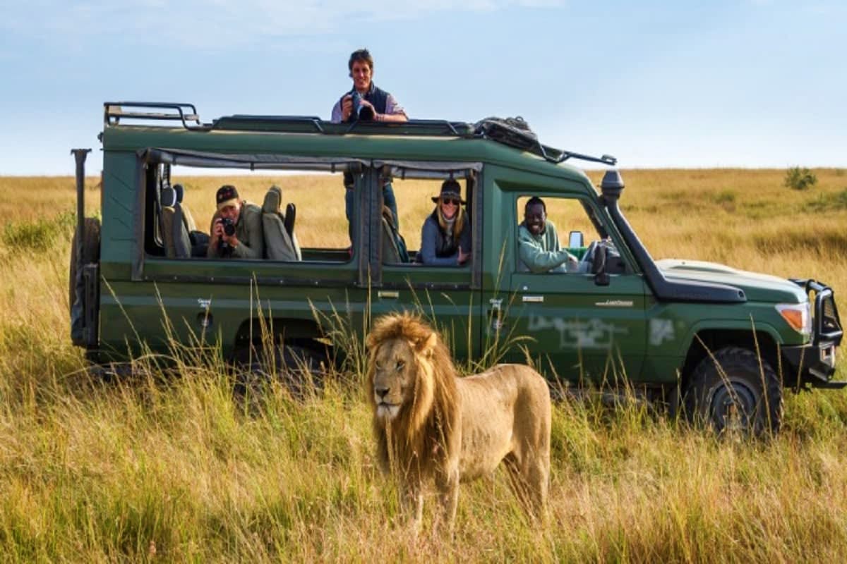 Kenyan Highlights Safari group viewing a male lion from an open-sided green vehicle in the African savanna grassland