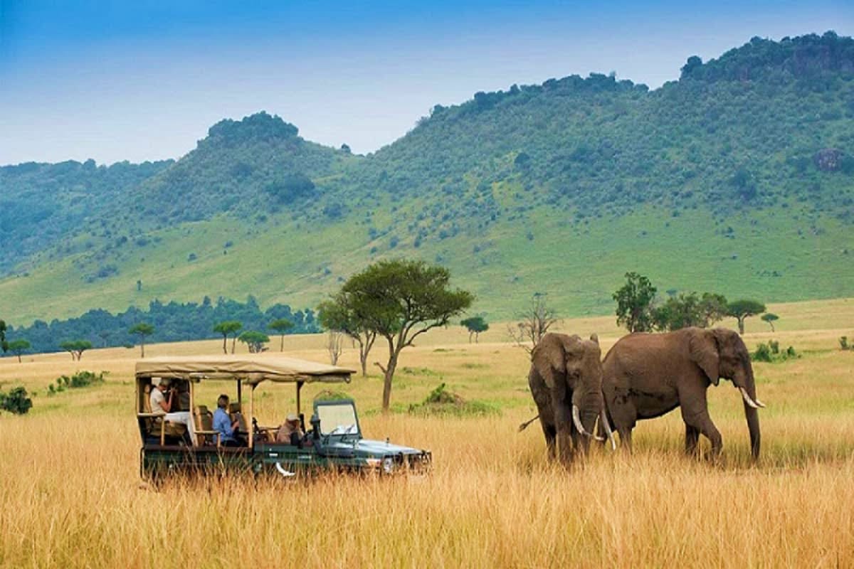 Safari vehicle with tourists viewing African elephant in grassland with forested hills in background, Kenya