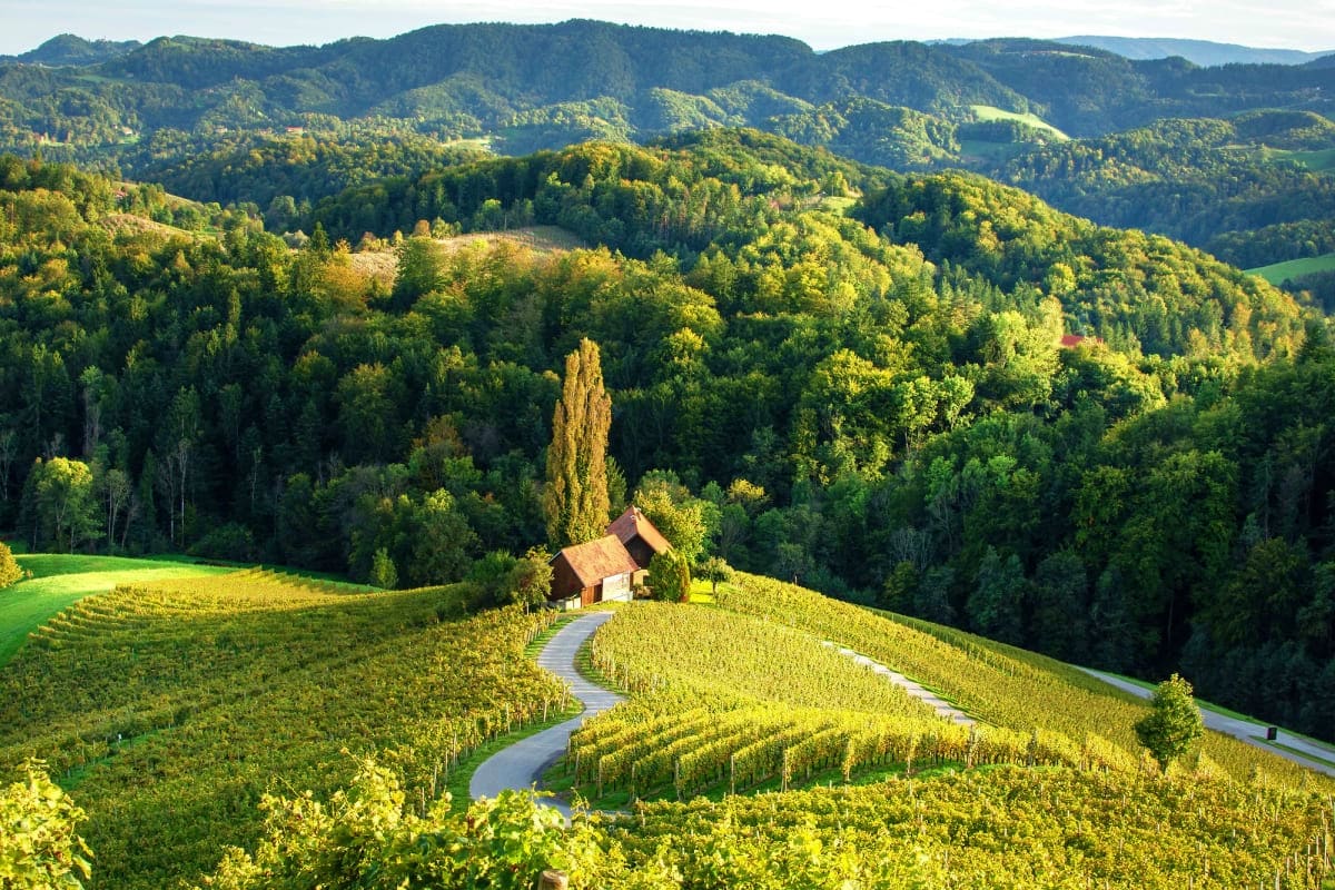 Scenic vineyard landscape in Slovenia with rolling hills, forested mountains, and a traditional stone chapel surrounded by go