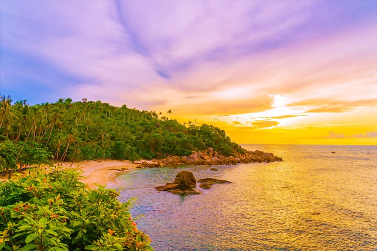 Tropical beach cove at sunset with palm trees, golden sky, rocky shoreline, and calm turquoise waters in Andaman Islands