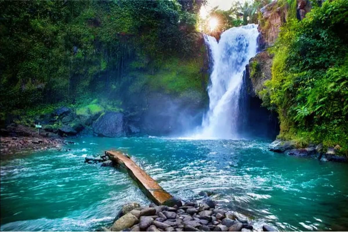 Scenic waterfall cascading into turquoise pool surrounded by lush green vegetation and rocky terrain in tropical forest setti