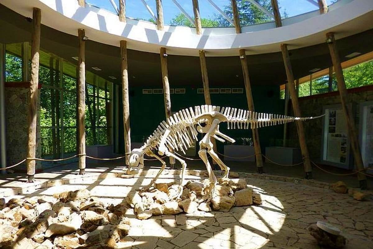 Dinosaur skeleton fossil displayed in circular museum building with wooden pillars and skylights, surrounded by rocks on ston