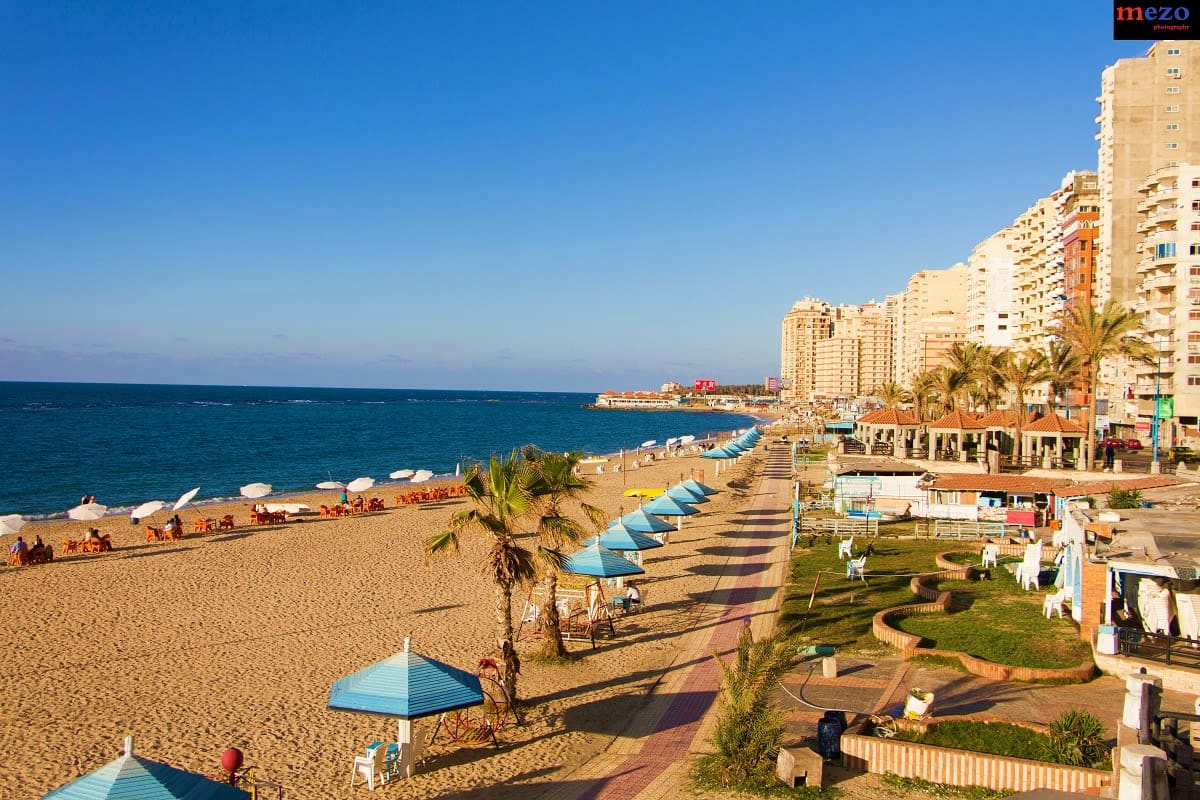 Beachfront view of Benalmádena with sandy beach, blue umbrellas, palm trees, Mediterranean Sea, and high-rise apartment build