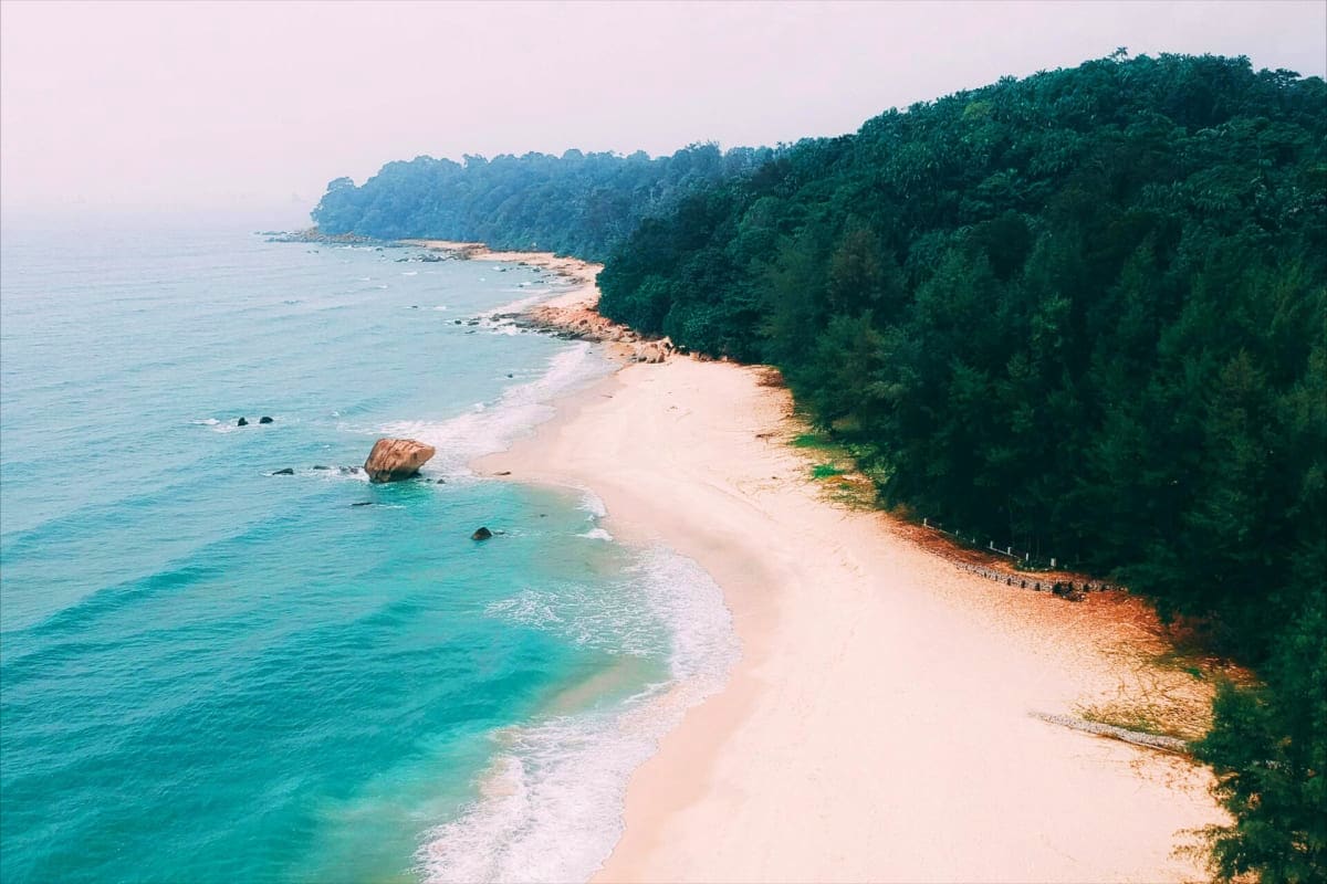 Aerial view of pristine sandy beach with turquoise ocean waves and lush green forest covering coastal cliffs in Andaman Islan