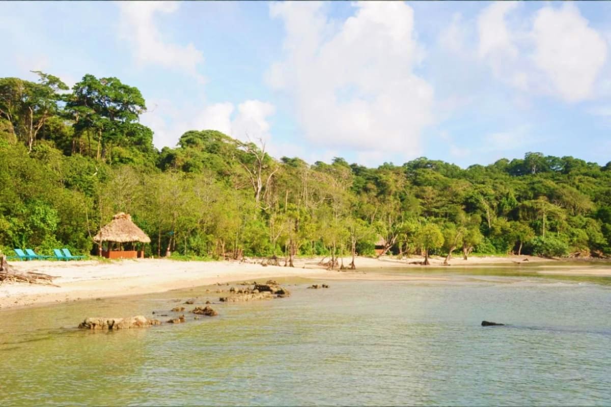 Tropical beach with dense green forest, thatched-roof hut, and calm turquoise water at Andaman Islands
