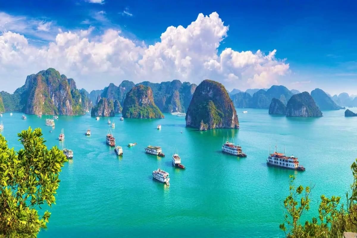 Halong Bay limestone karsts with turquoise water and anchored cruise ships under blue sky with white clouds