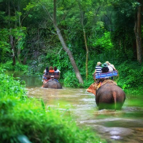 Tourists riding elephants through a shallow river in a lush green forest in Kerala, India
