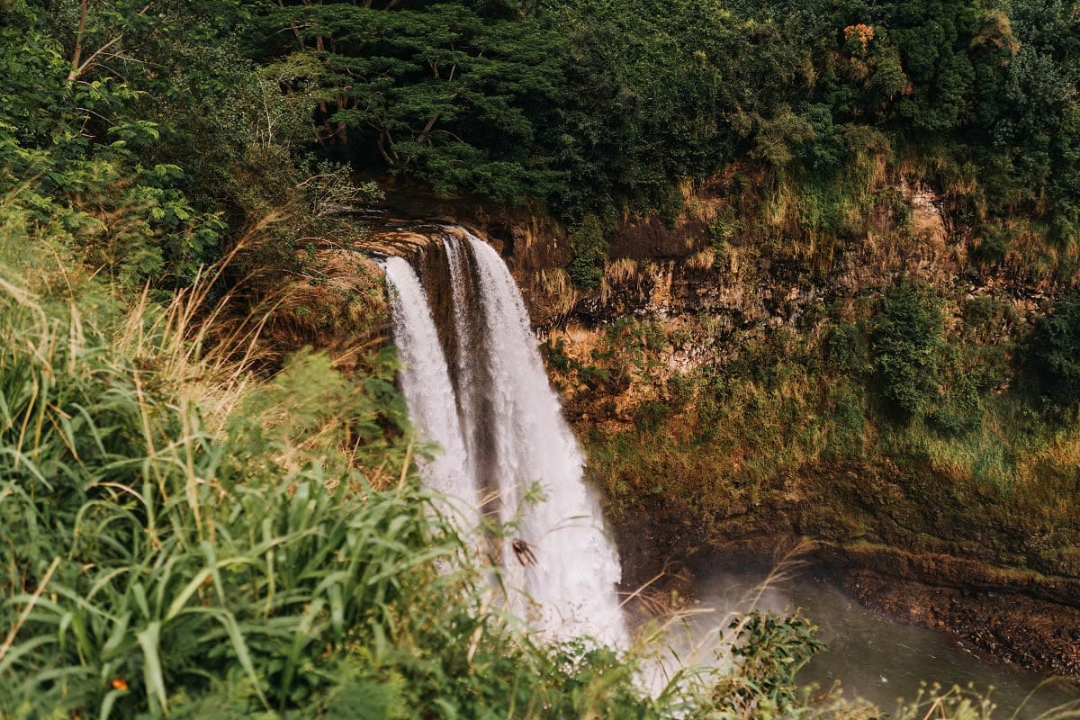 Waterfall cascading from rocky cliff surrounded by lush green vegetation and forest canopy in Kenya