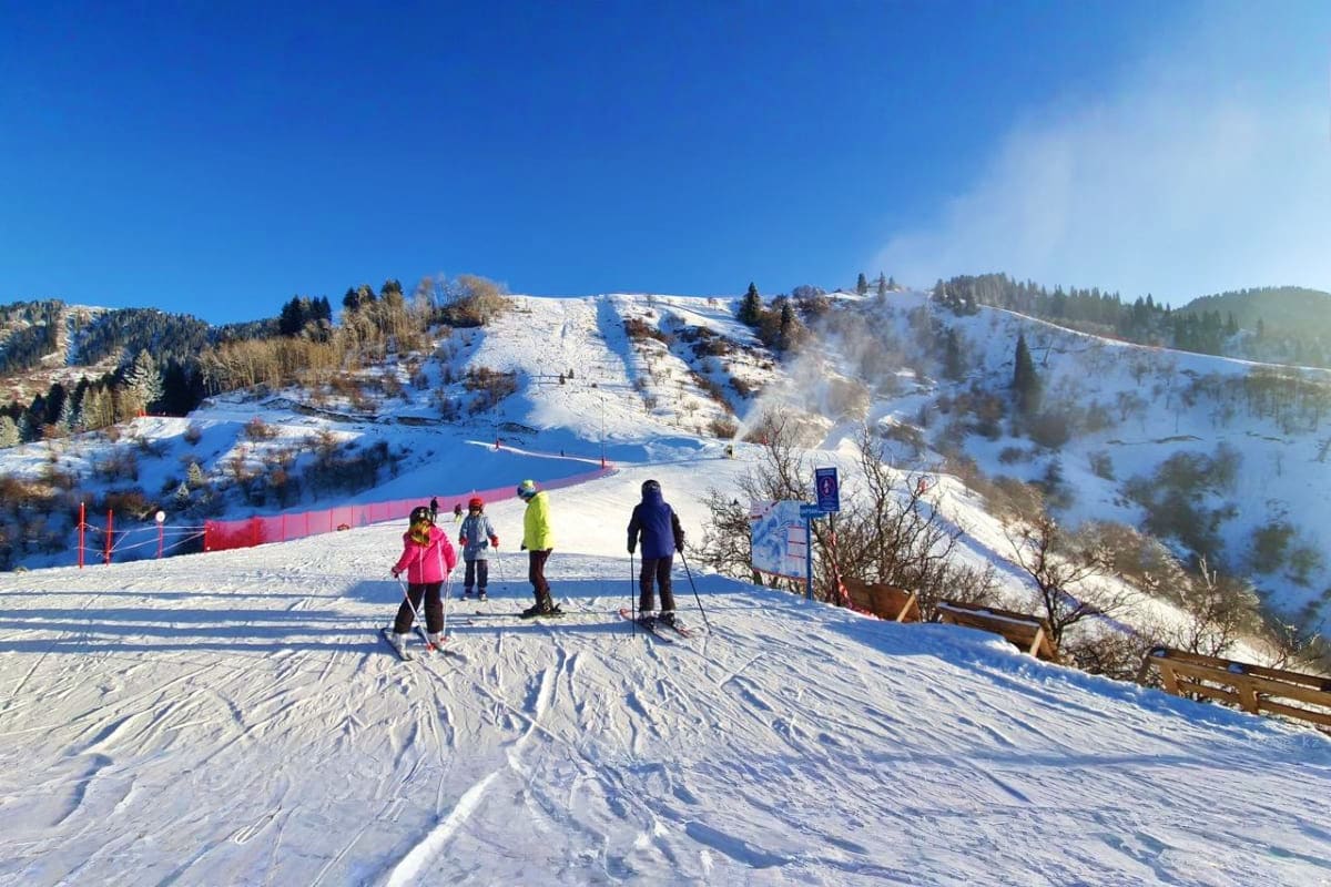 Skiers and snowboarders on snowy slope at mountain ski resort with forested hills and red safety barriers under clear blue sk